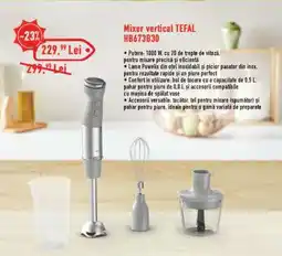 Carrefour Mixer vertical TEFAL HB673B30 Ofertă