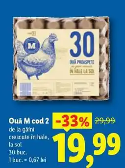 Lidl Ouă M cod 2 Ofertă
