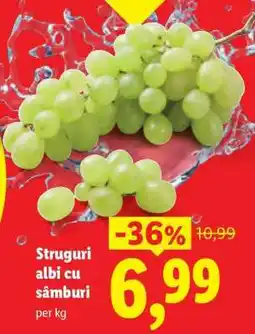 Lidl Struguri albi cu sâmburi Ofertă