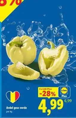 Lidl Ardei gras verde Ofertă