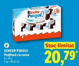 Lidl KINDER PINGUI Ofertă
