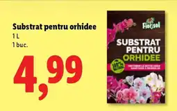 Lidl Substrat pentru orhidee Ofertă