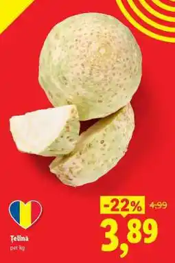 Lidl Țelină Ofertă