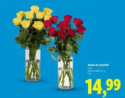 Lidl Buchet de trandafiri Ofertă