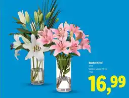 Lidl Buchet crini Ofertă