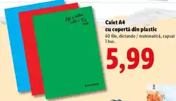 Lidl Caiet A4 cu copertă din plastic Ofertă