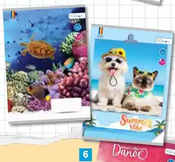 Lidl Caiet A5 Ofertă