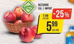 Mega Image Criadina Mega nectarine Ofertă