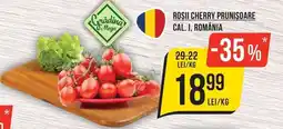 Mega Image Grădina Mega roșii cherry prunișoare Ofertă