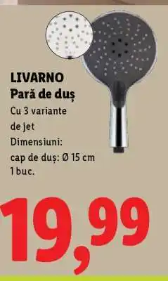 Lidl LIVARNO Pară de duș Ofertă