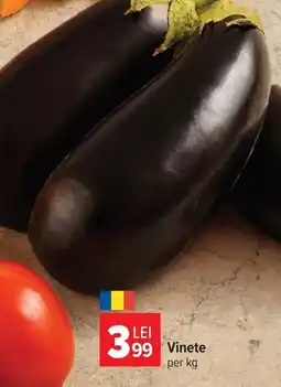 Carrefour Market Vinete Ofertă
