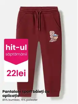Pepco Pantaloni sport băieți cu aplicație Ofertă