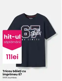 Pepco Destination tricou băieți cu imprimeu 67 Ofertă