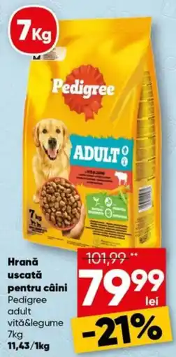 PROFI Pedigree adult vită&legume Ofertă