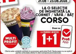 PROFI Corso inghetata Ofertă