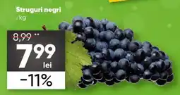 PROFI Struguri negri Ofertă