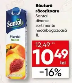 PROFI Santal Piersici Nectar Ofertă