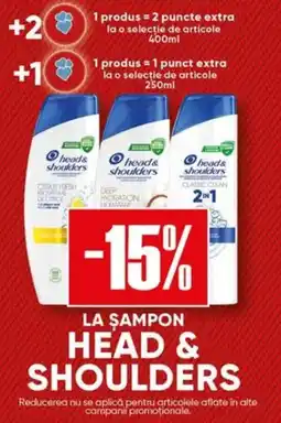 PROFI Head & Shoulders Ofertă