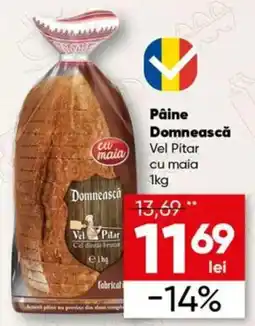 PROFI Vel Pitar Pâine Domnească cu maia Ofertă
