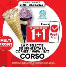 PROFI Corso inghetata Ofertă