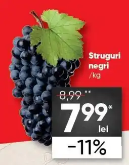 PROFI Struguri negri Ofertă
