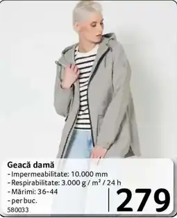 Selgros Geacă damă Ofertă