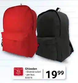 Selgros Ghiozdan Ofertă