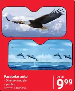 Selgros Parasolar auto Ofertă