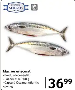 Selgros Pescaria Selgros Macrou eviscerat Ofertă
