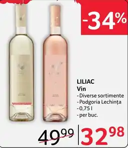 Selgros Liliac vin Ofertă