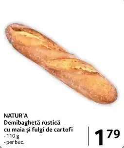 Selgros Natur'a demibaghetă rustică cu maia și fulgi de cartofi Ofertă