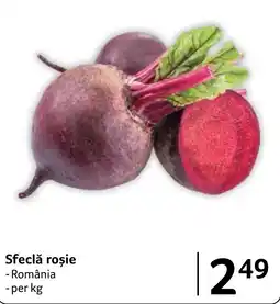 Selgros Sfeclă roșie Ofertă