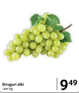 Selgros Struguri albi Ofertă