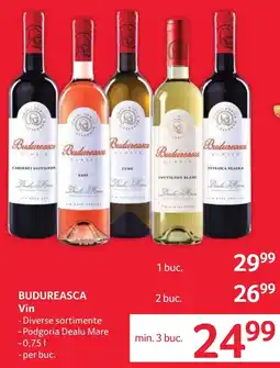 Selgros Budureasca Vin Ofertă
