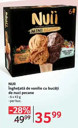 Selgros Nuii înghețată de vanilie cu bucăți de nuci pecane Ofertă