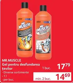 Selgros Mr Muscle Gel pentru desfundarea țevilor Ofertă