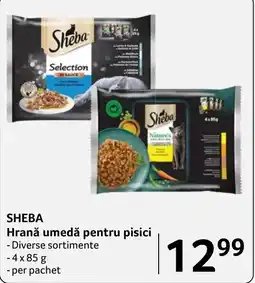 Selgros Sheba hrană umedă pentru pisici Ofertă