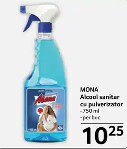 Selgros Mona alcool sanitar Ofertă