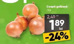 PROFI Ceapă galbenă Ofertă