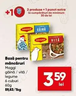PROFI Bază pentru mâncăruri Maggi Ofertă