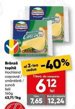 PROFI Brânză topită Hochland cașcaval / smântână / șuncă felii 140g Ofertă