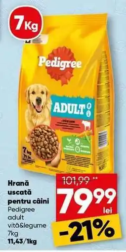 PROFI Pedigree adult vită&legume 7kg Ofertă
