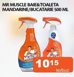 Unicarm Mr Muscle baie & toaleta mandarine / bucatarie Ofertă