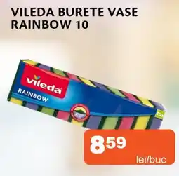 Unicarm Vileda burete vase rainbow 10 Ofertă