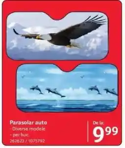 Selgros Parasolar auto Ofertă
