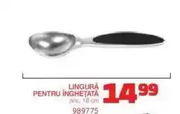 Selgros LINGURĂ PENTRU ÎNGHEȚATĂ Ofertă