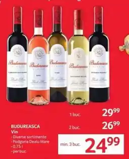Selgros BUDUREASCA Vin Ofertă