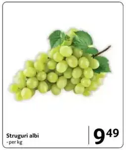 Selgros Struguri albi Ofertă