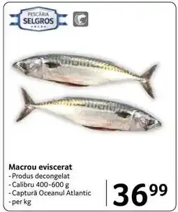 Selgros Macrou eviscerat Ofertă