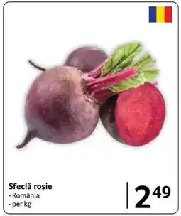 Selgros Sfeclă roşie Ofertă